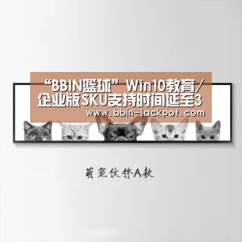 “BBIN篮球”Win10教育/企业版SKU支持时间延至30个月