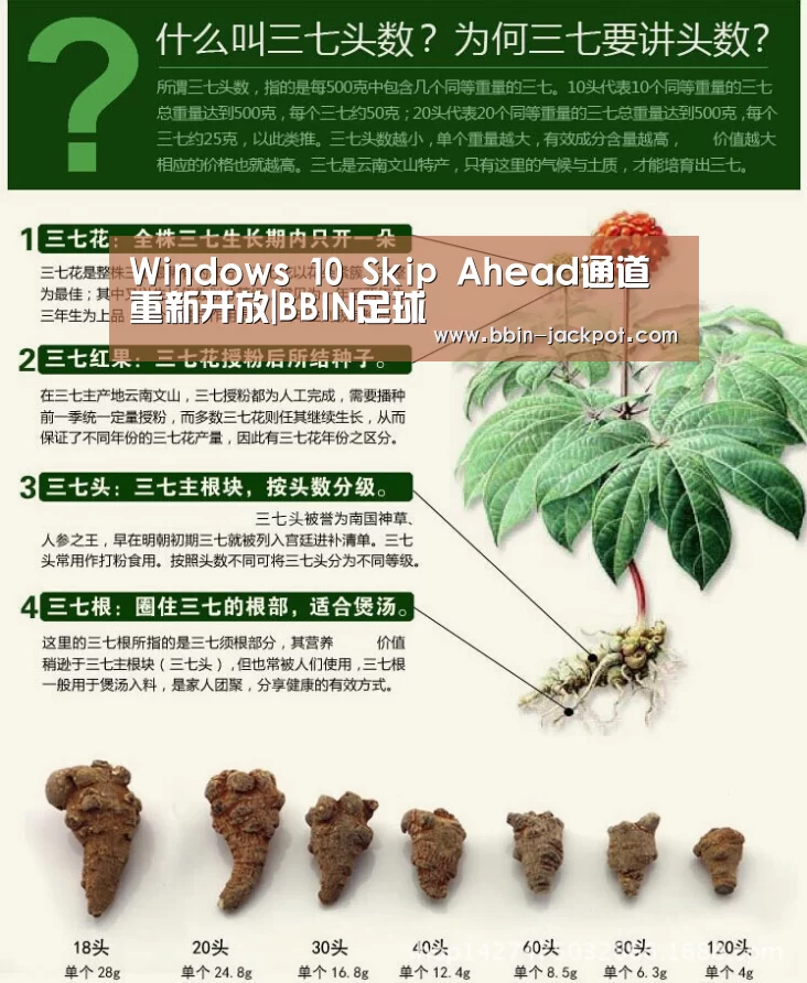 Windows 10 Skip Ahead通道重新开放|BBIN足球(图2) BBIN篮球