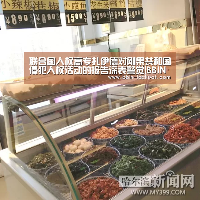联合国人权高专扎伊德对刚果共和国侵犯人权活动的报告深表警觉|BBIN篮球