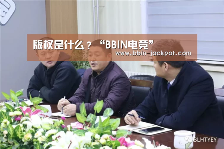 版权是什么？“BBIN电竞”